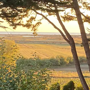 Vieilles Vignes Vue Billiers